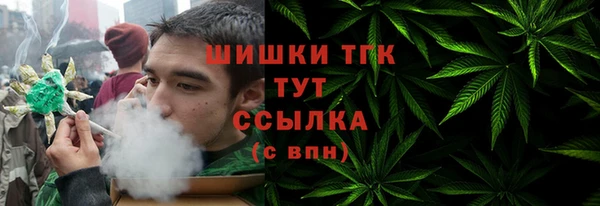 винт Майский