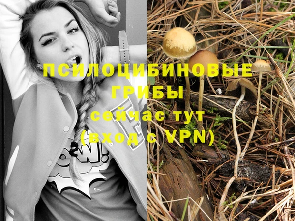 винт Майский