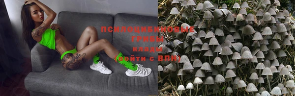 винт Майский