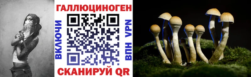 Купить  Чёрмоз  Псилоцибиновые грибы ЛСД 