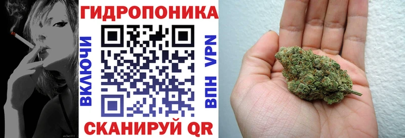 Каннабис план Чёрмоз
